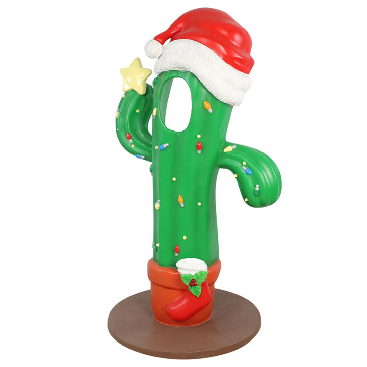 Christmas Cactus Photo Op