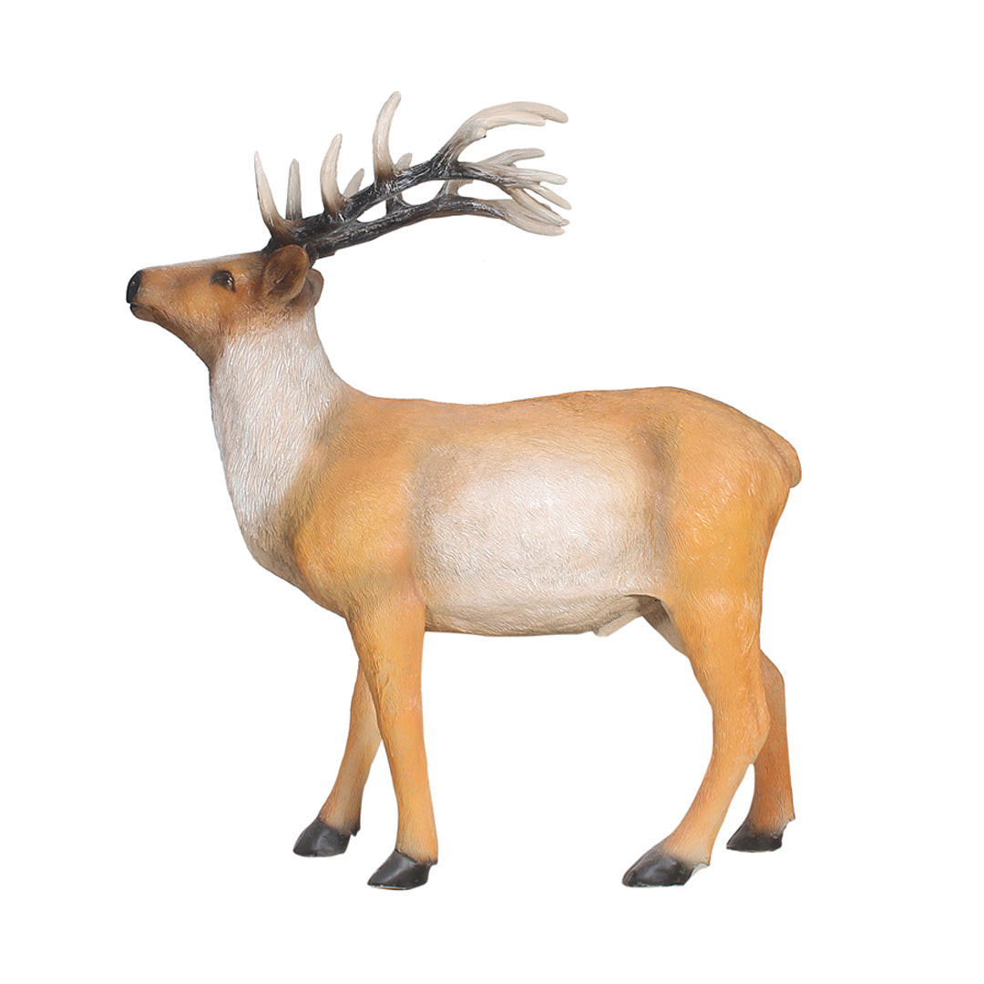 Walking Stag