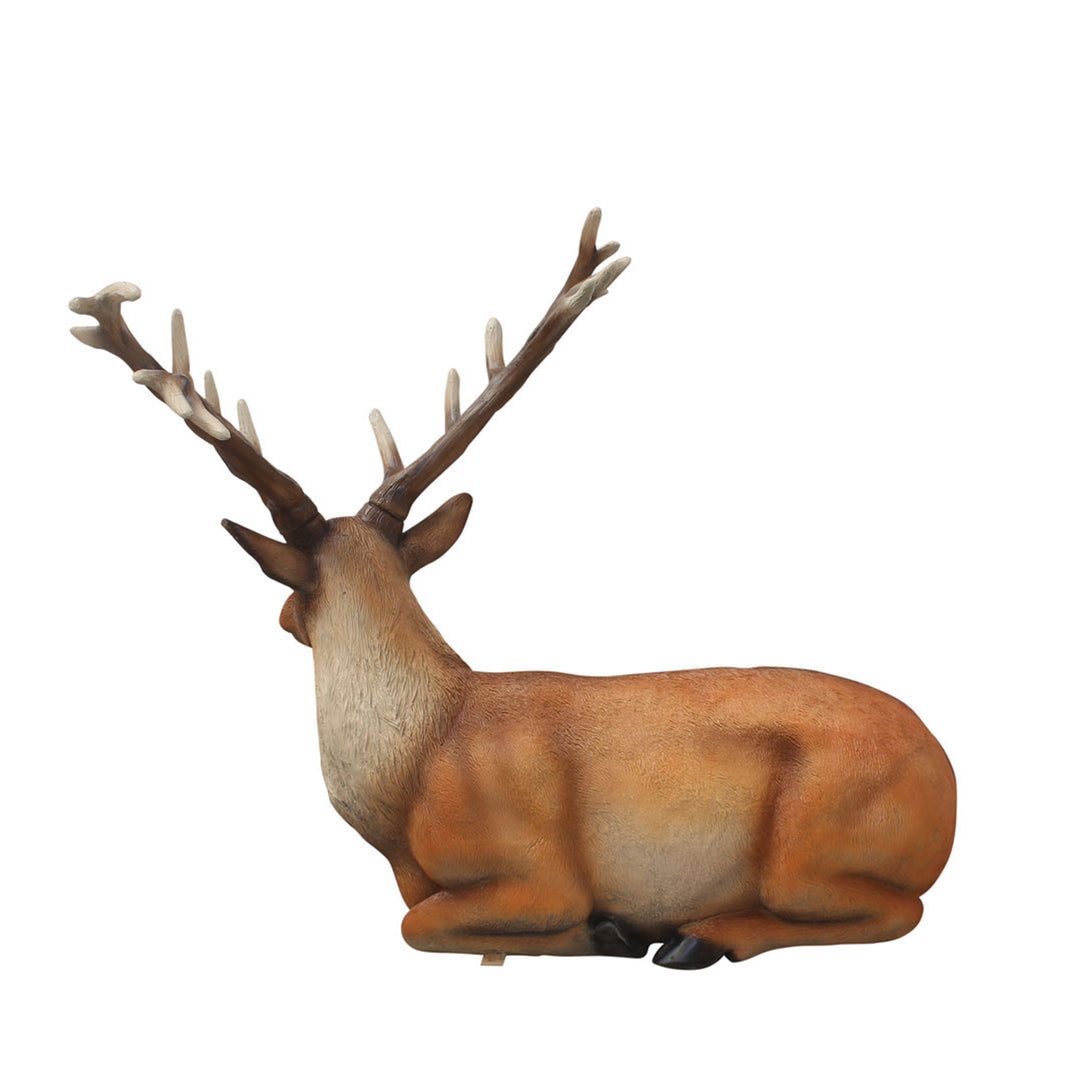 Sitting Stag