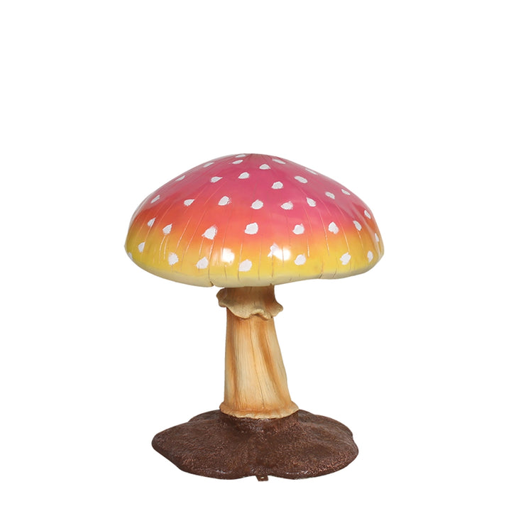 Medium Mushroom