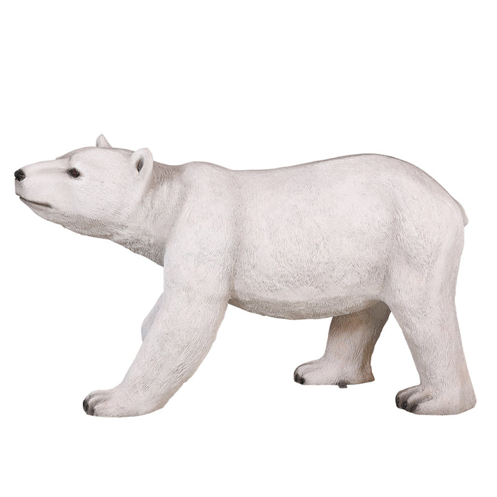 Polar Bear Walking
