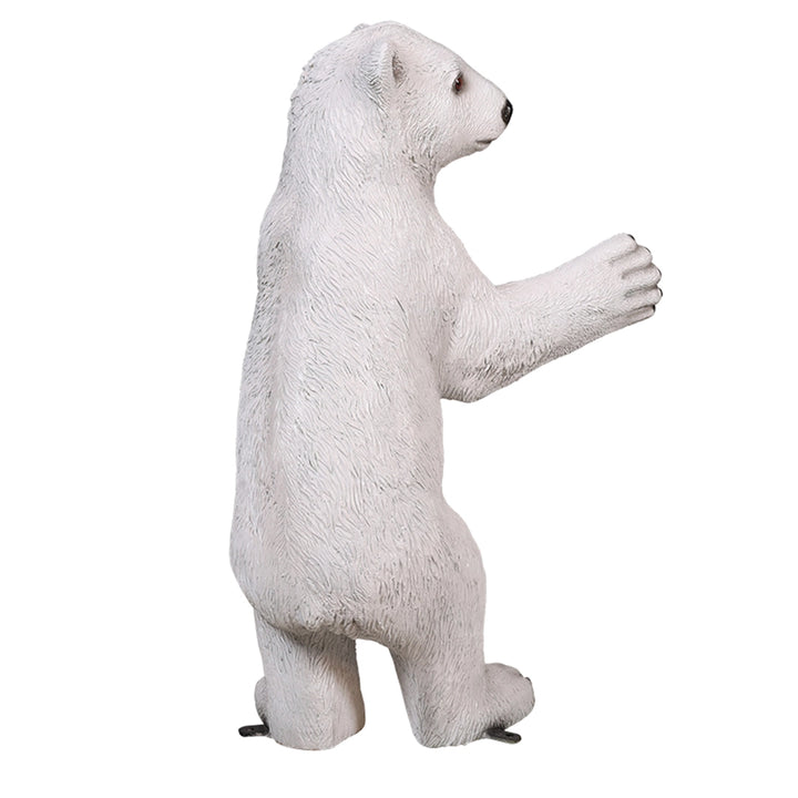Baby Polar Bear