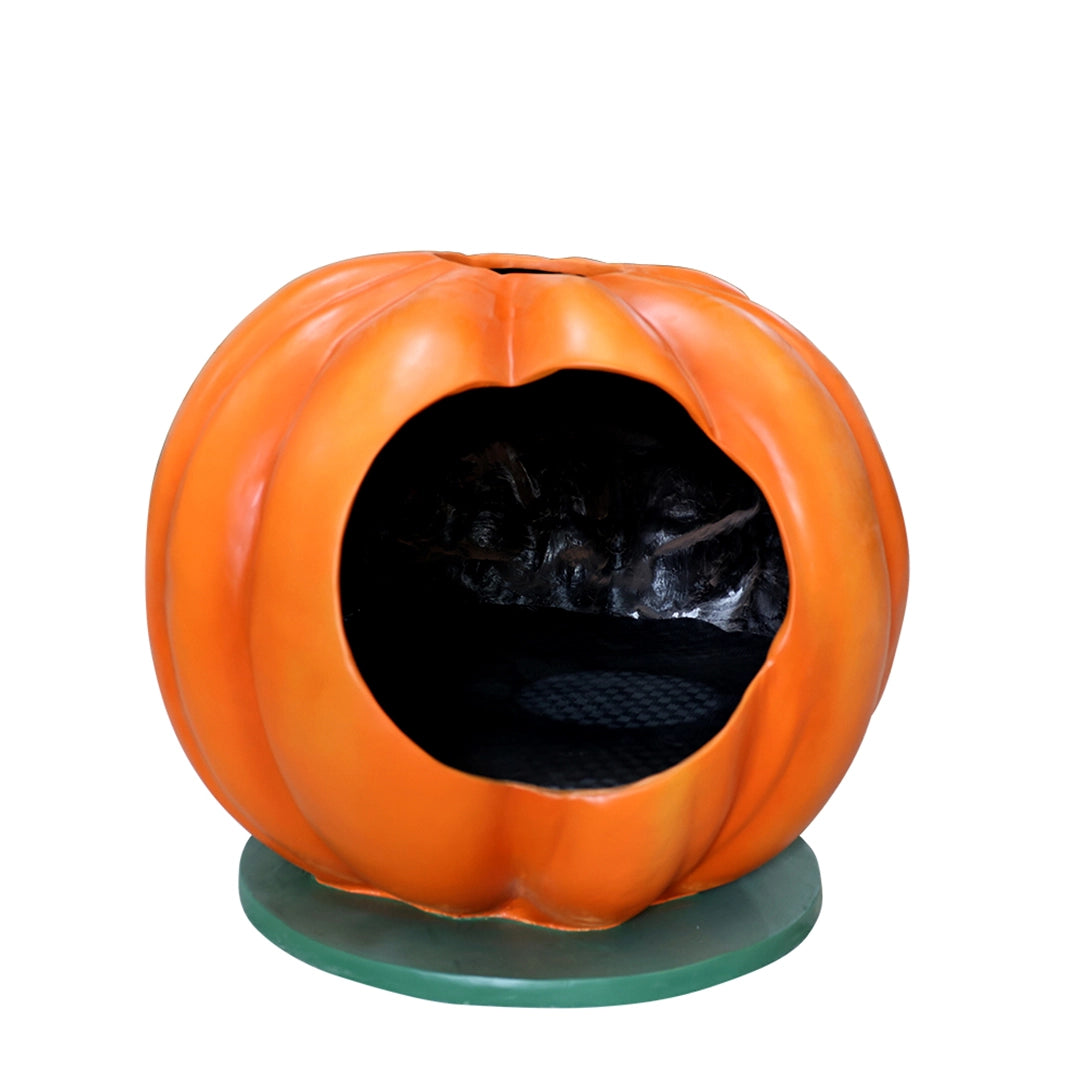 Pumpkin Photo Op