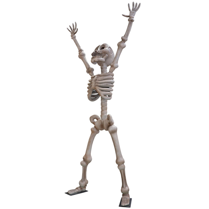 Happy Skeleton
