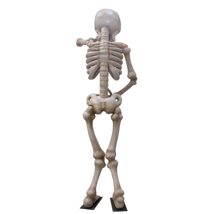 Shy Skeleton