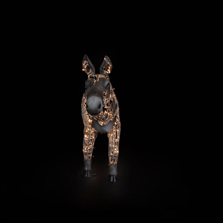 Donkey - Warm White - Floor standing