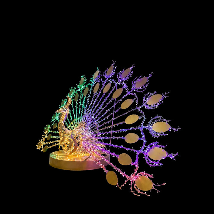 Peacock With Colorful Light