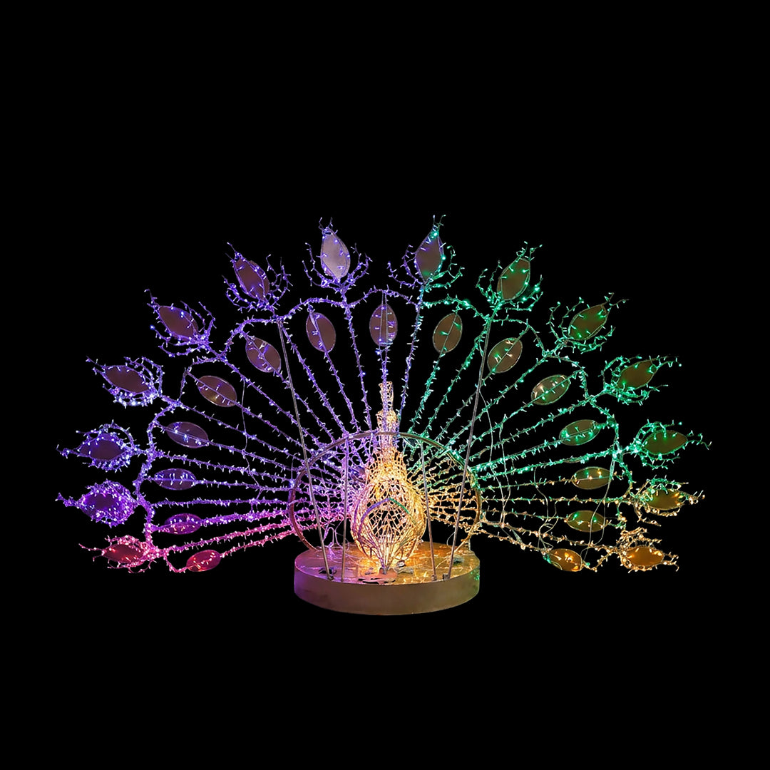 Peacock With Colorful Light