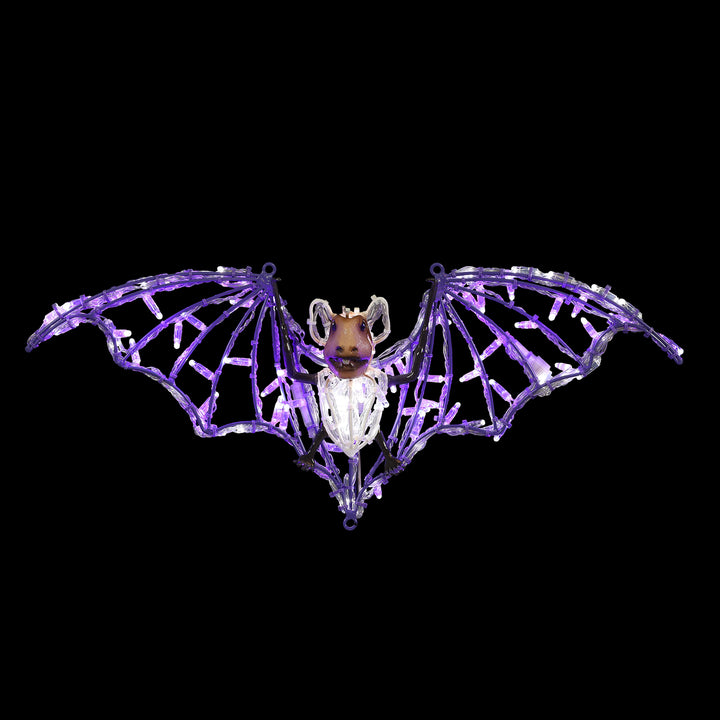Bats