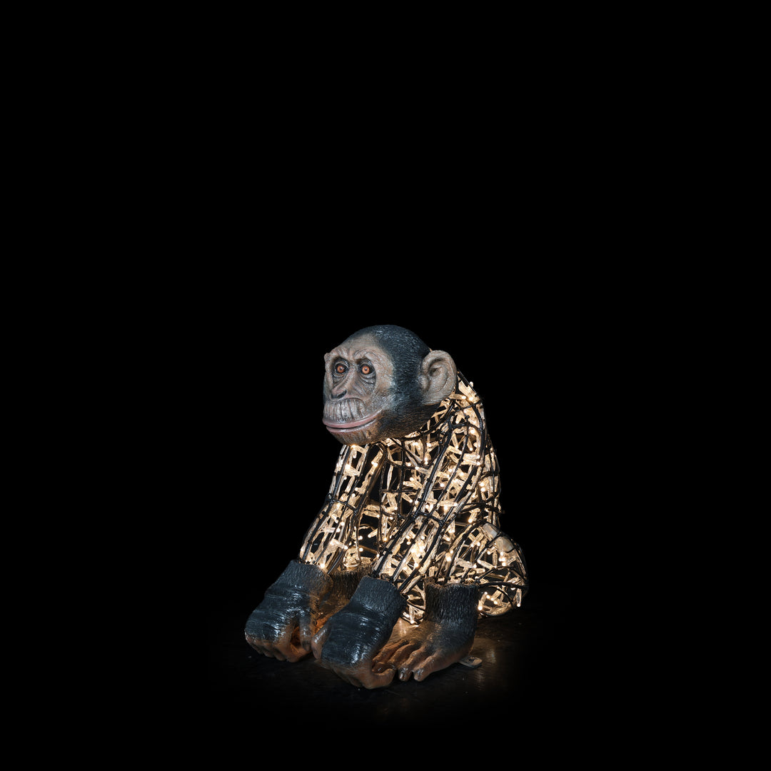 Illuminated Monkey Baby Statue