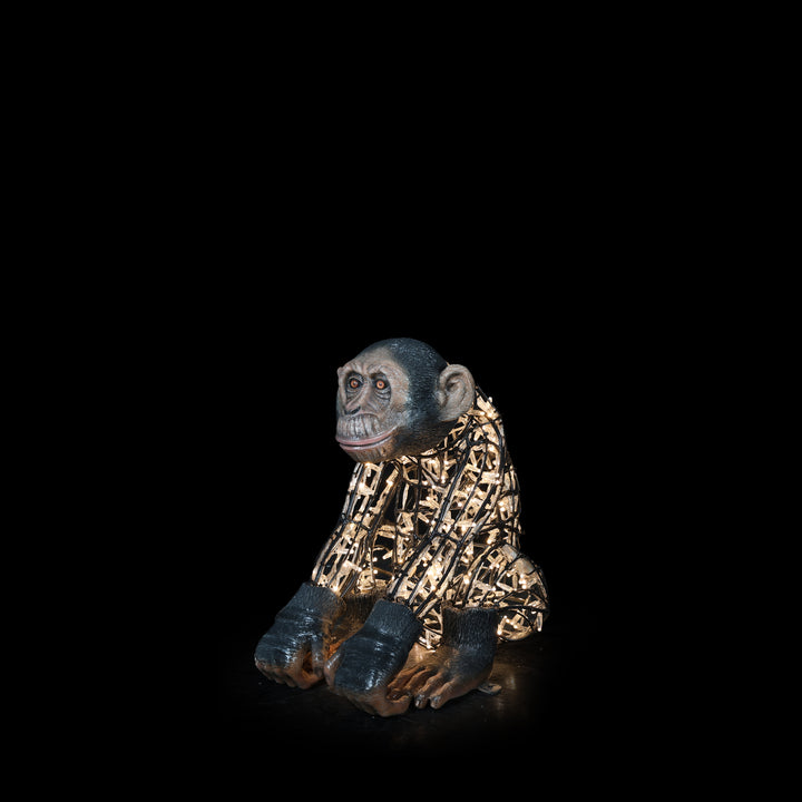 Illuminated Monkey Baby Statue