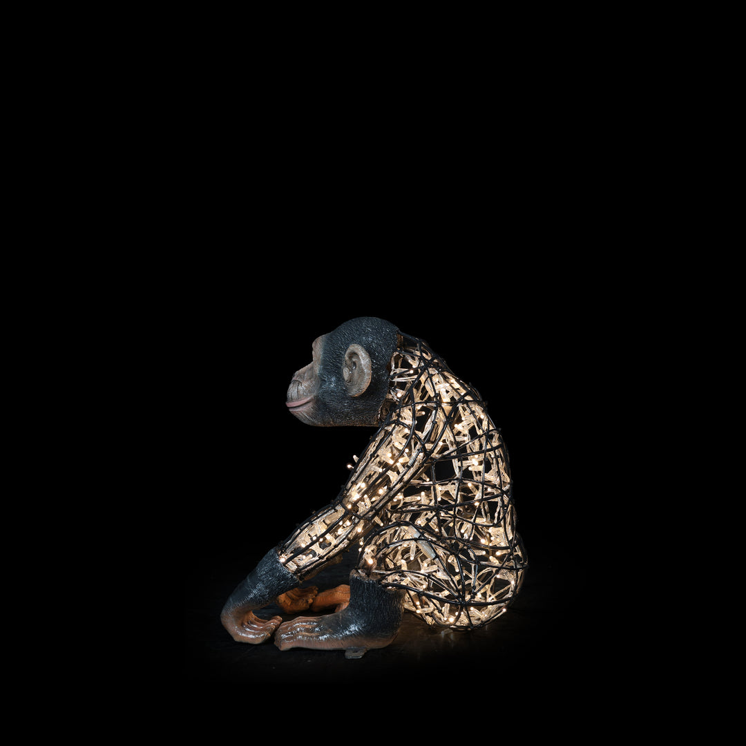 Illuminated Monkey Baby Statue