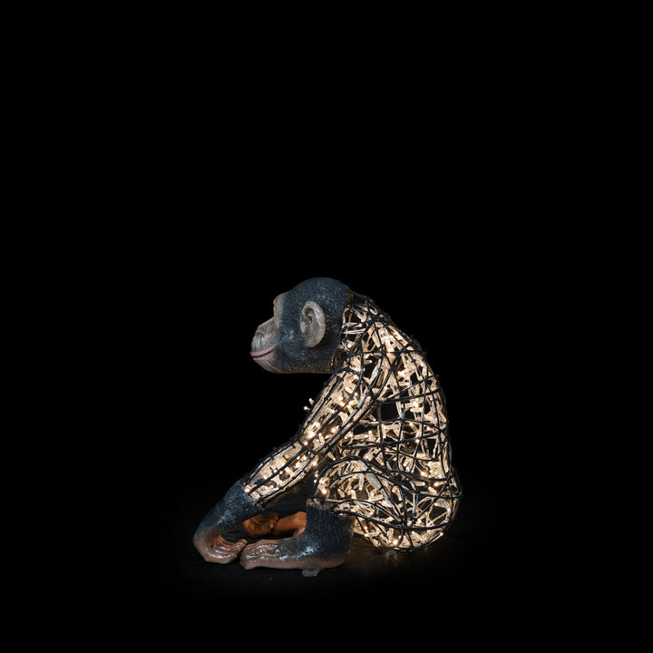 Illuminated Monkey Baby Statue