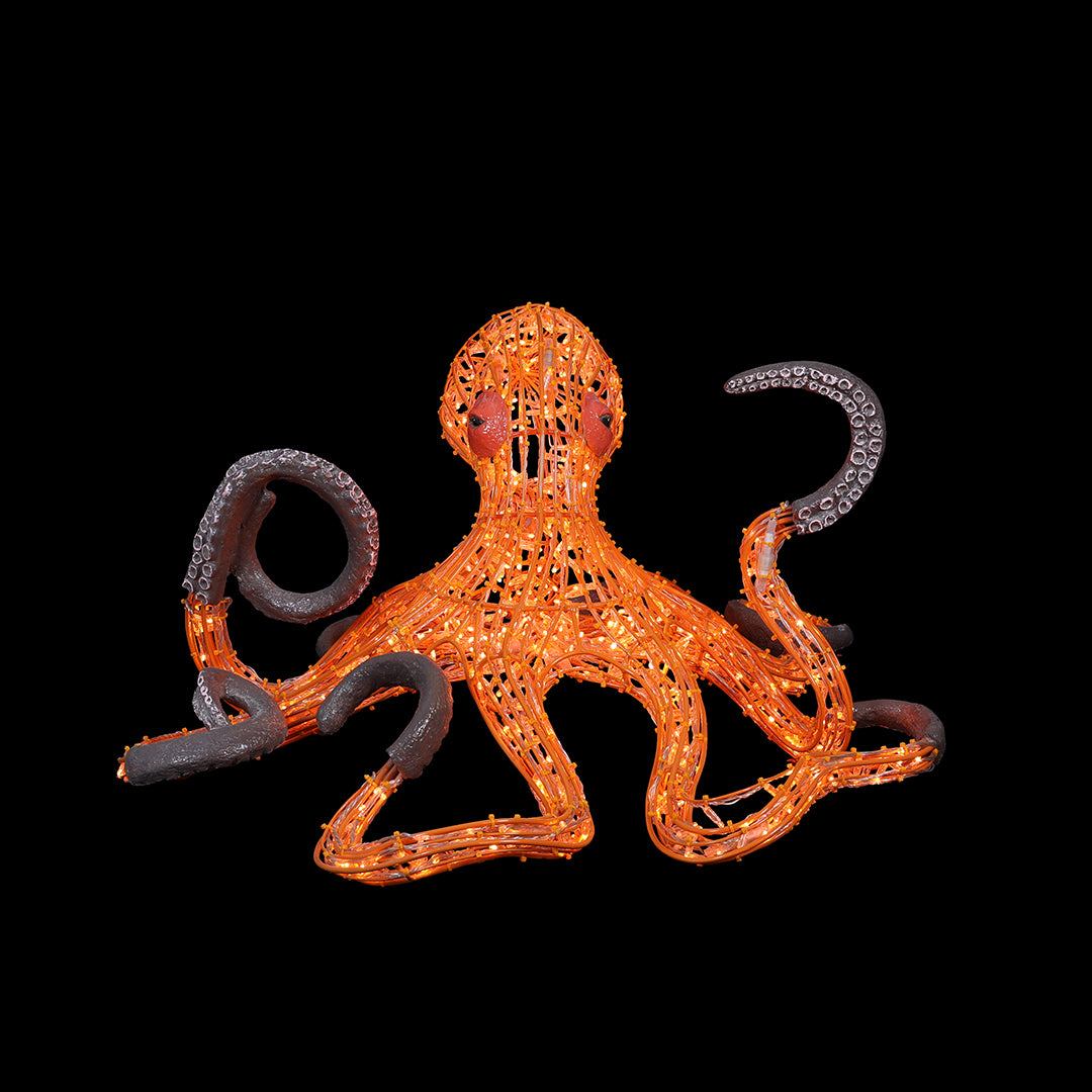 Illuminated Octopus