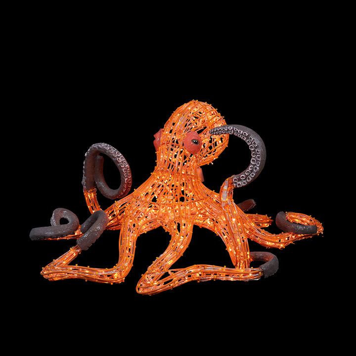 Illuminated Octopus