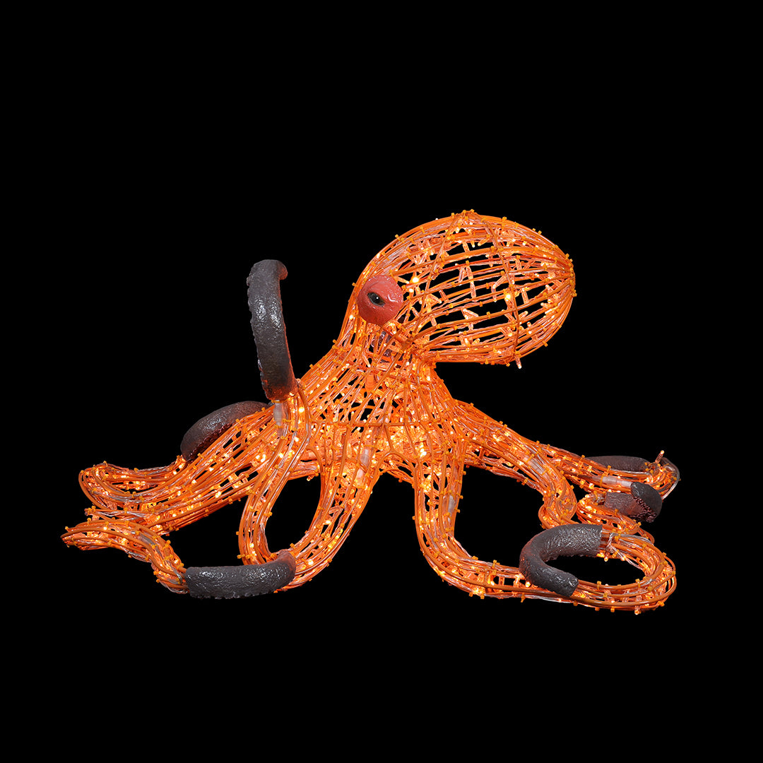 Illuminated Octopus