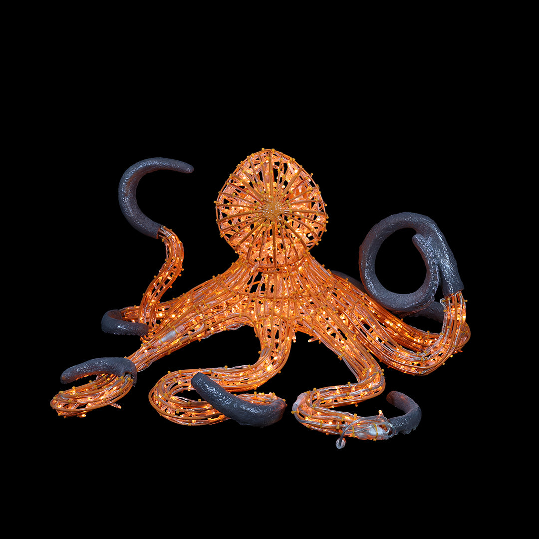 Illuminated Octopus
