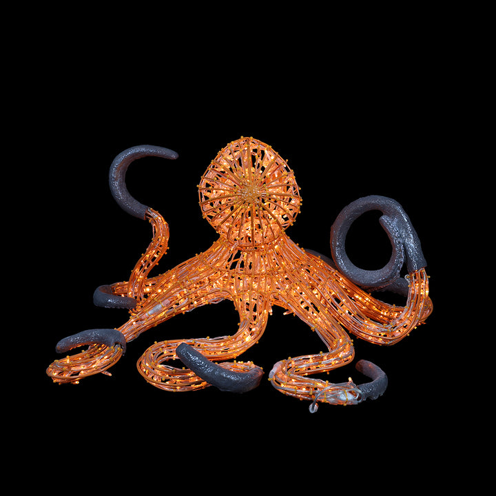 Illuminated Octopus