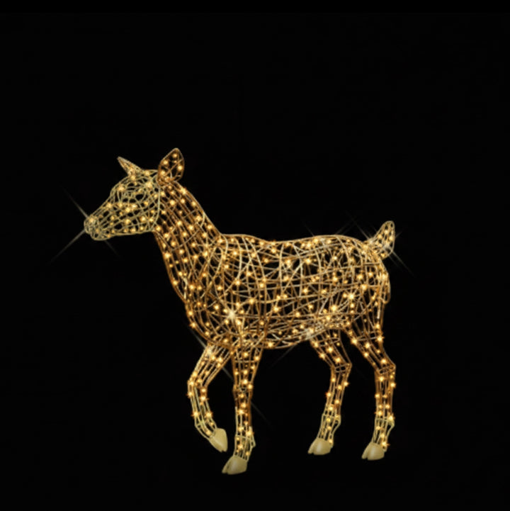 Royal Fawn Standing