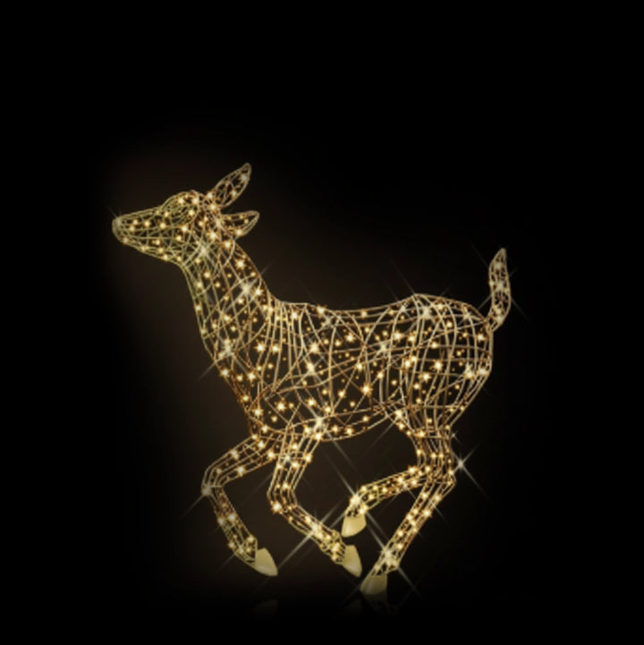 Royal Fawn Running