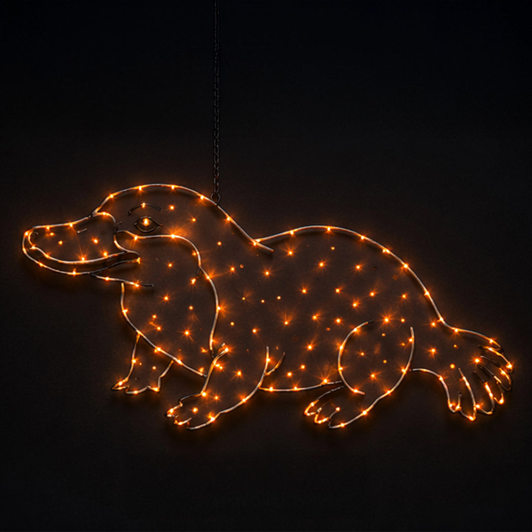 2D Hanging Platypus