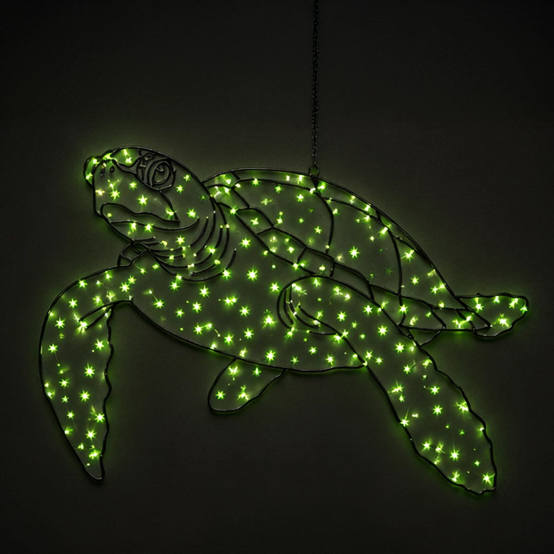 2D Hanging Turtle