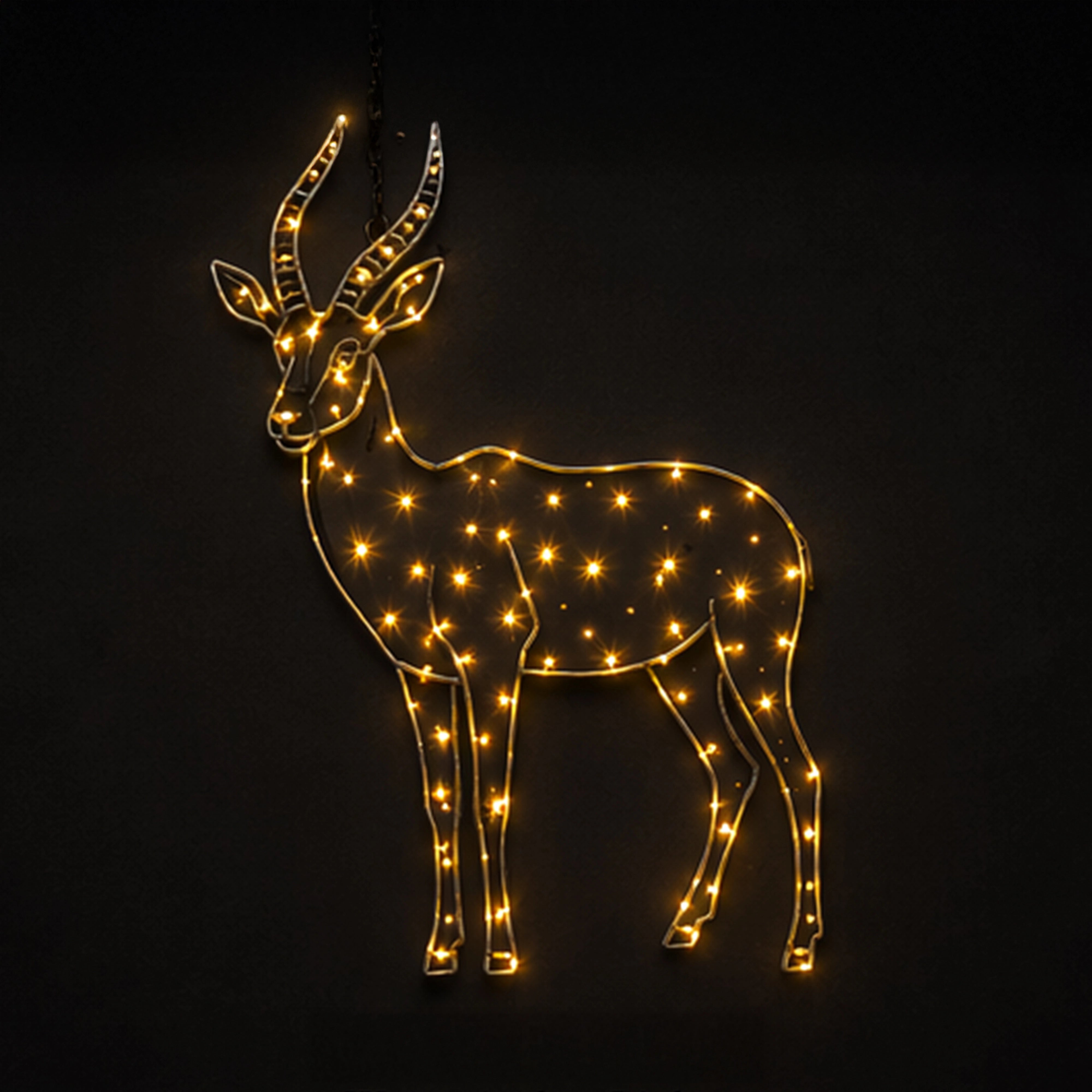 Light Motifs Collection