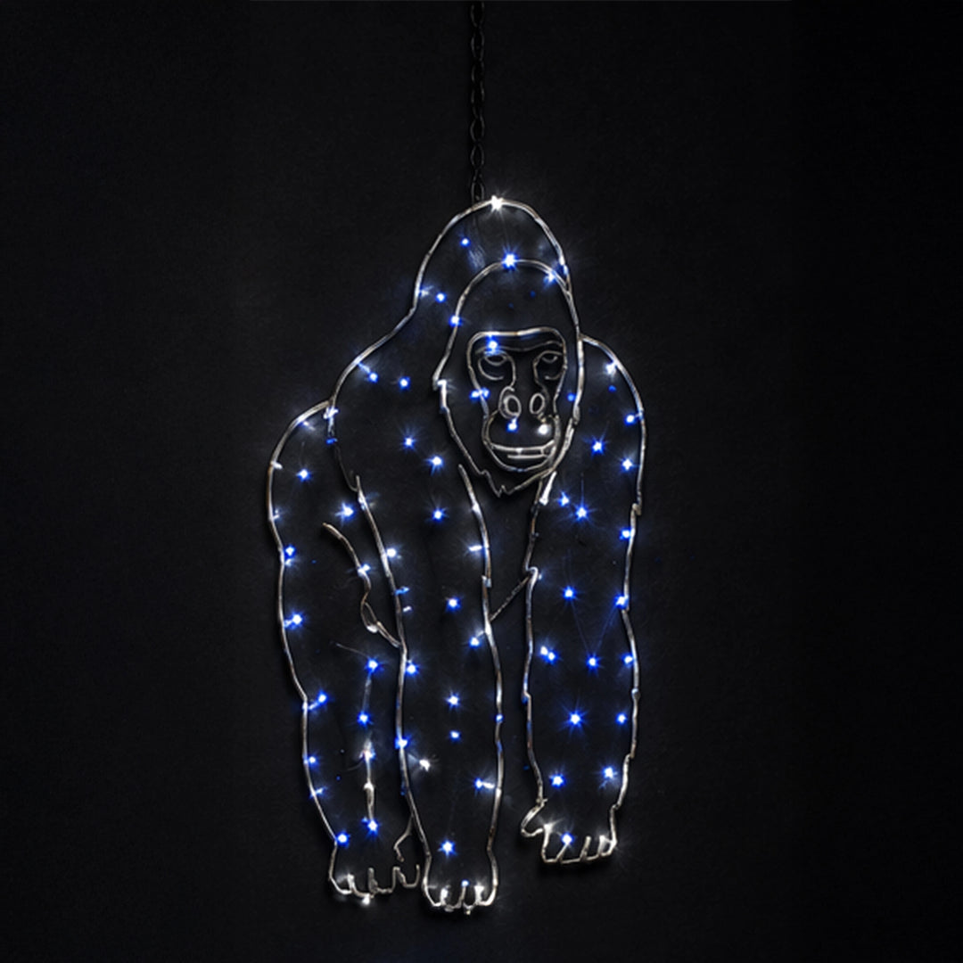 2D Hanging Gorilla