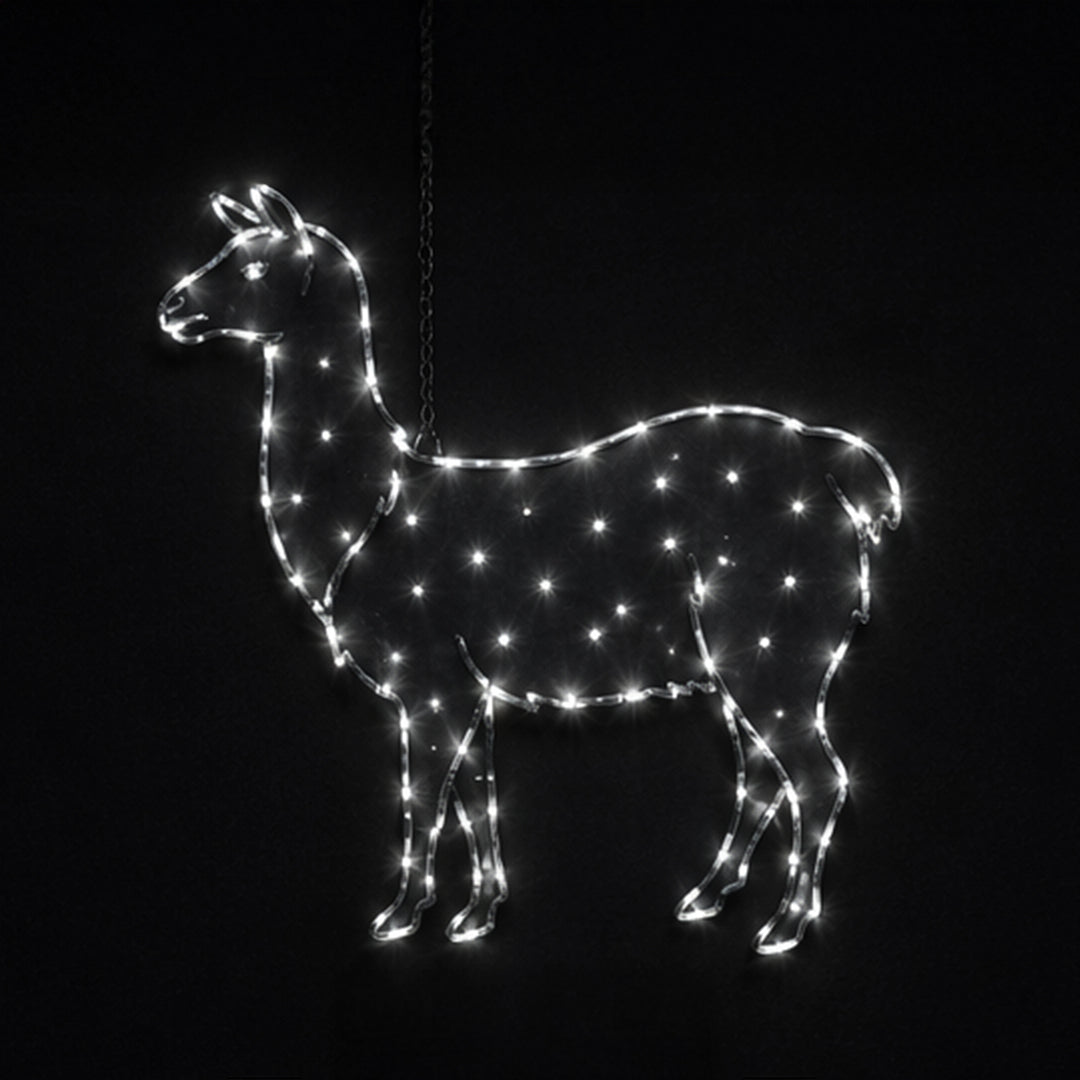 2D Hanging Llama