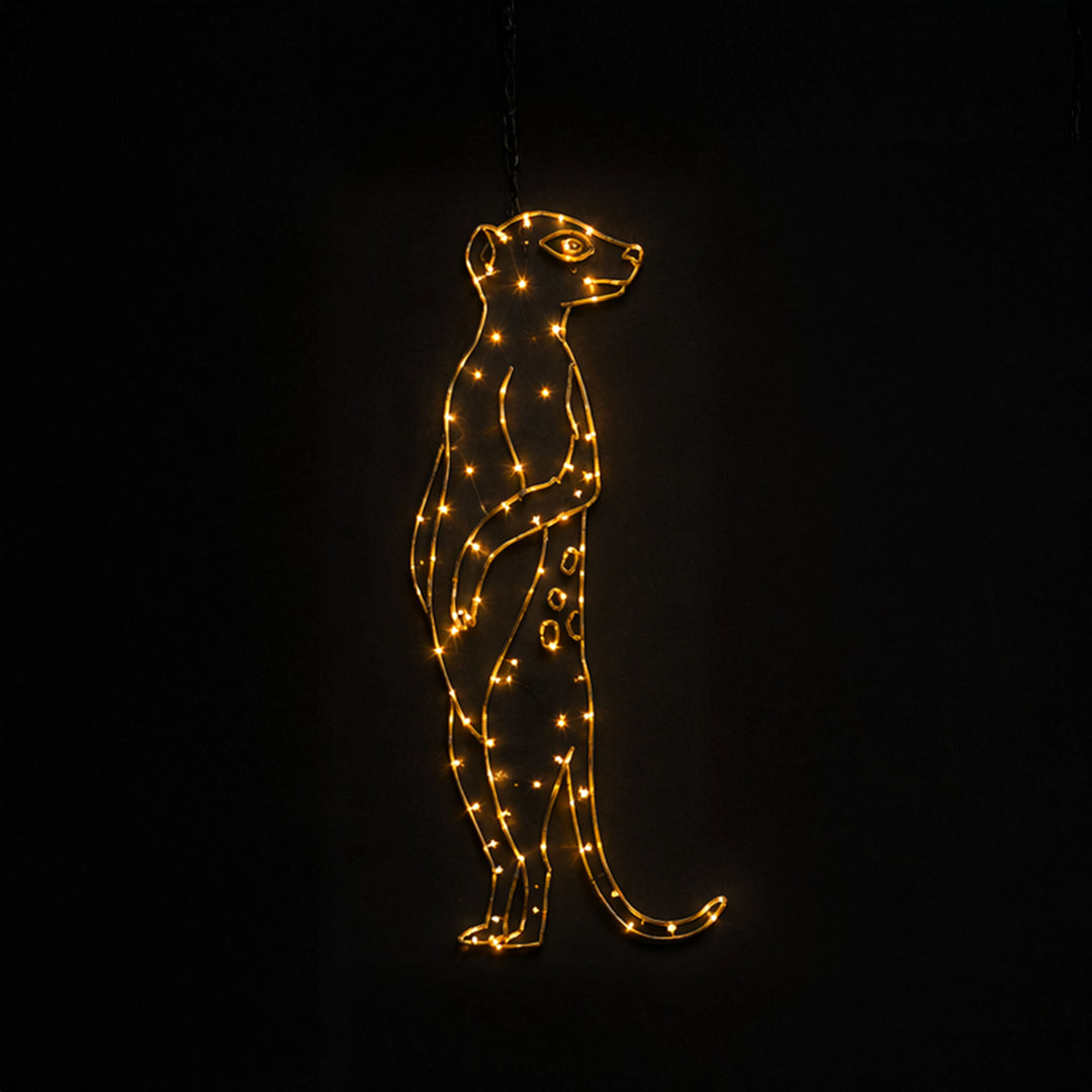 2D Hanging Meerkat