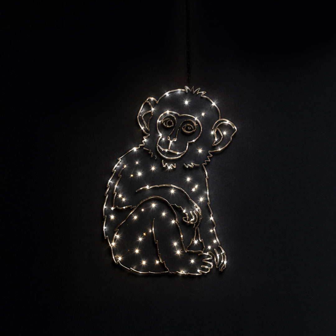 2D Hanging Monkey