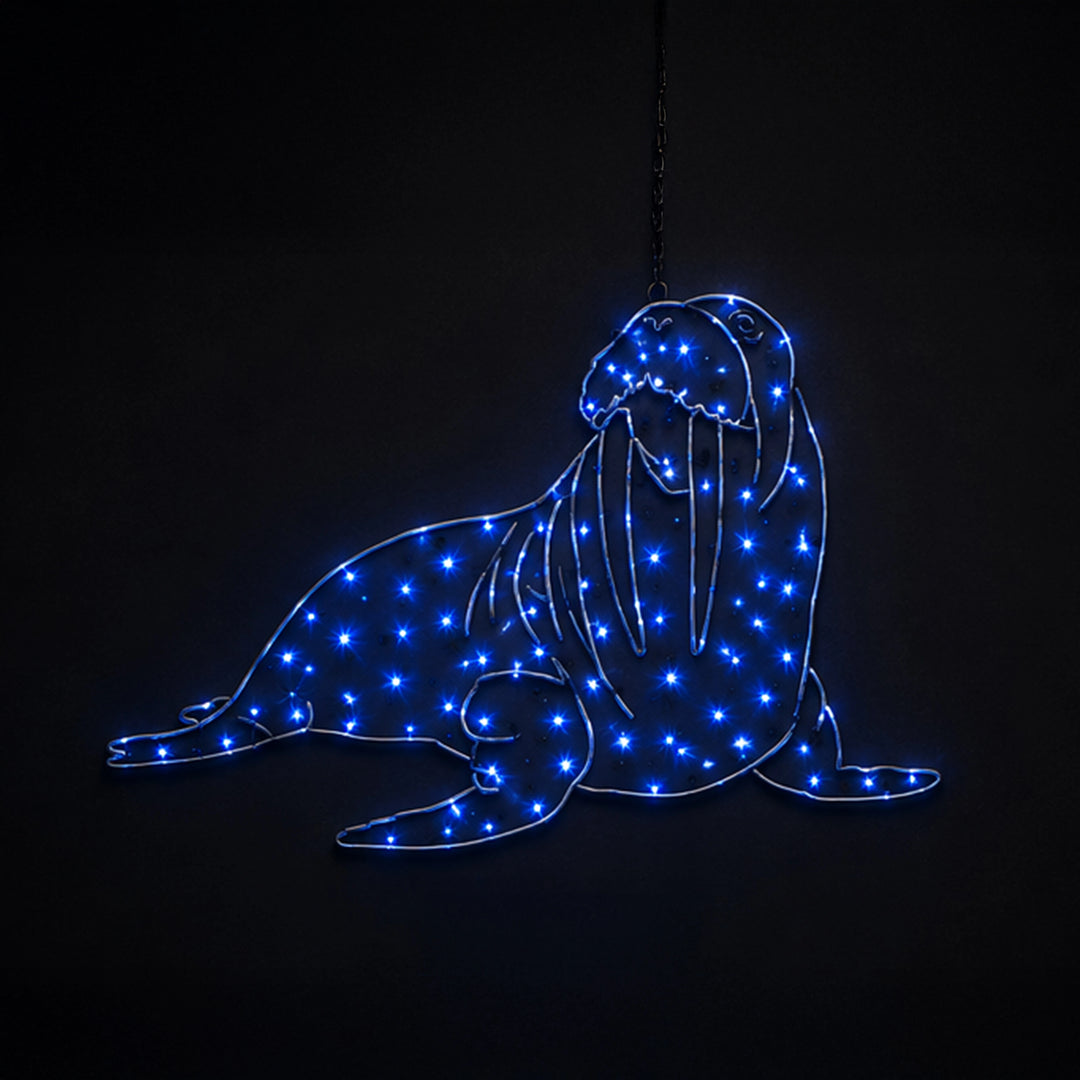 2D Hanging Walrus