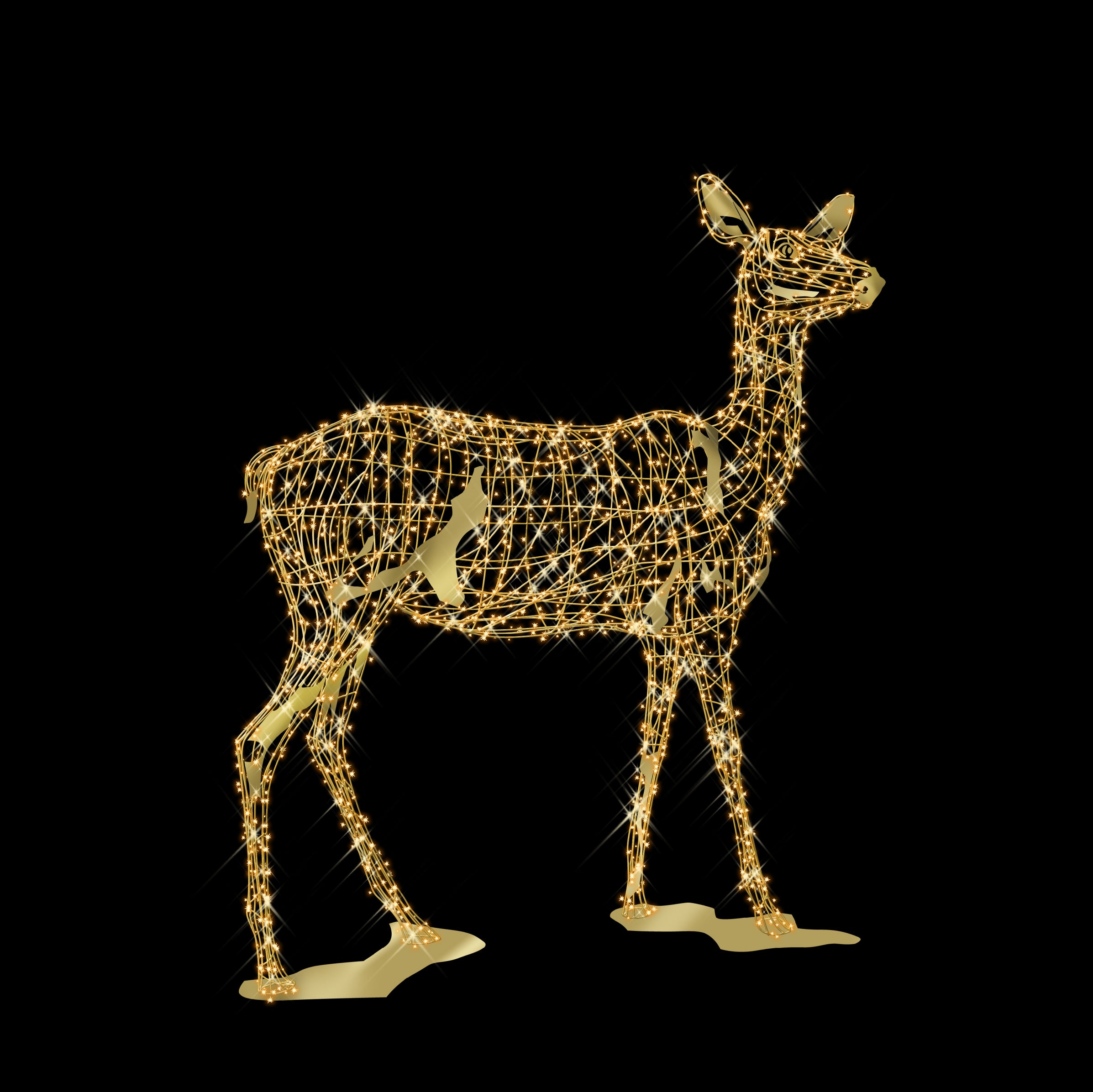 Light Motifs Collection