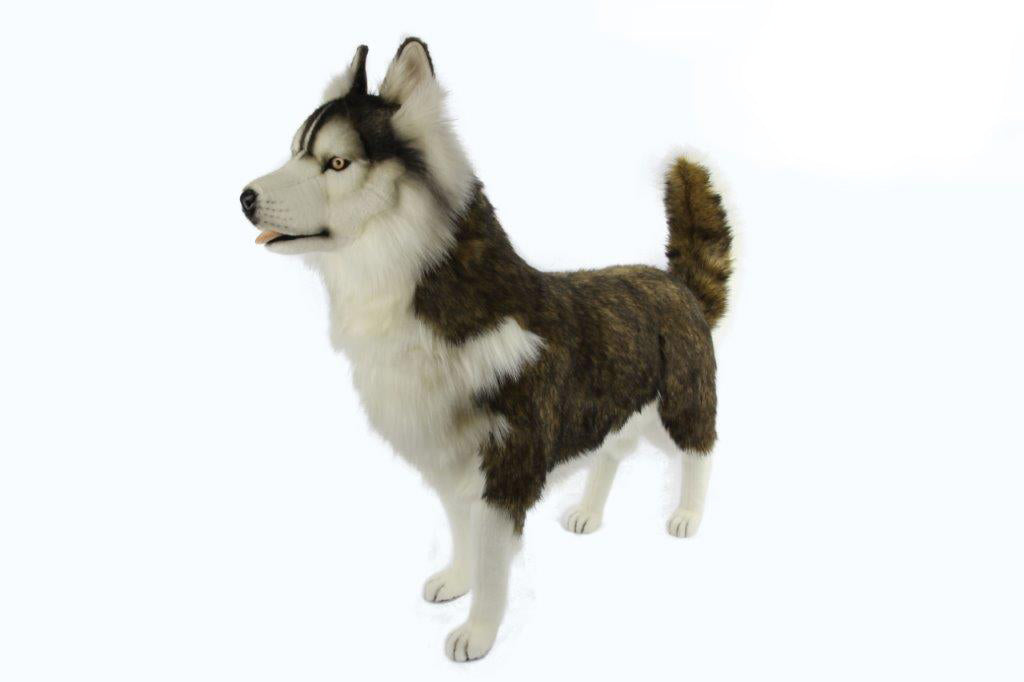 Siberian Husky Beige 115cmL