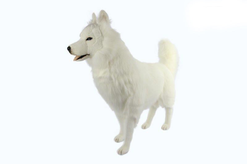 Siberian Husky White 115cmL