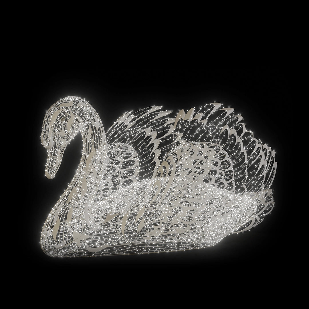 Swan