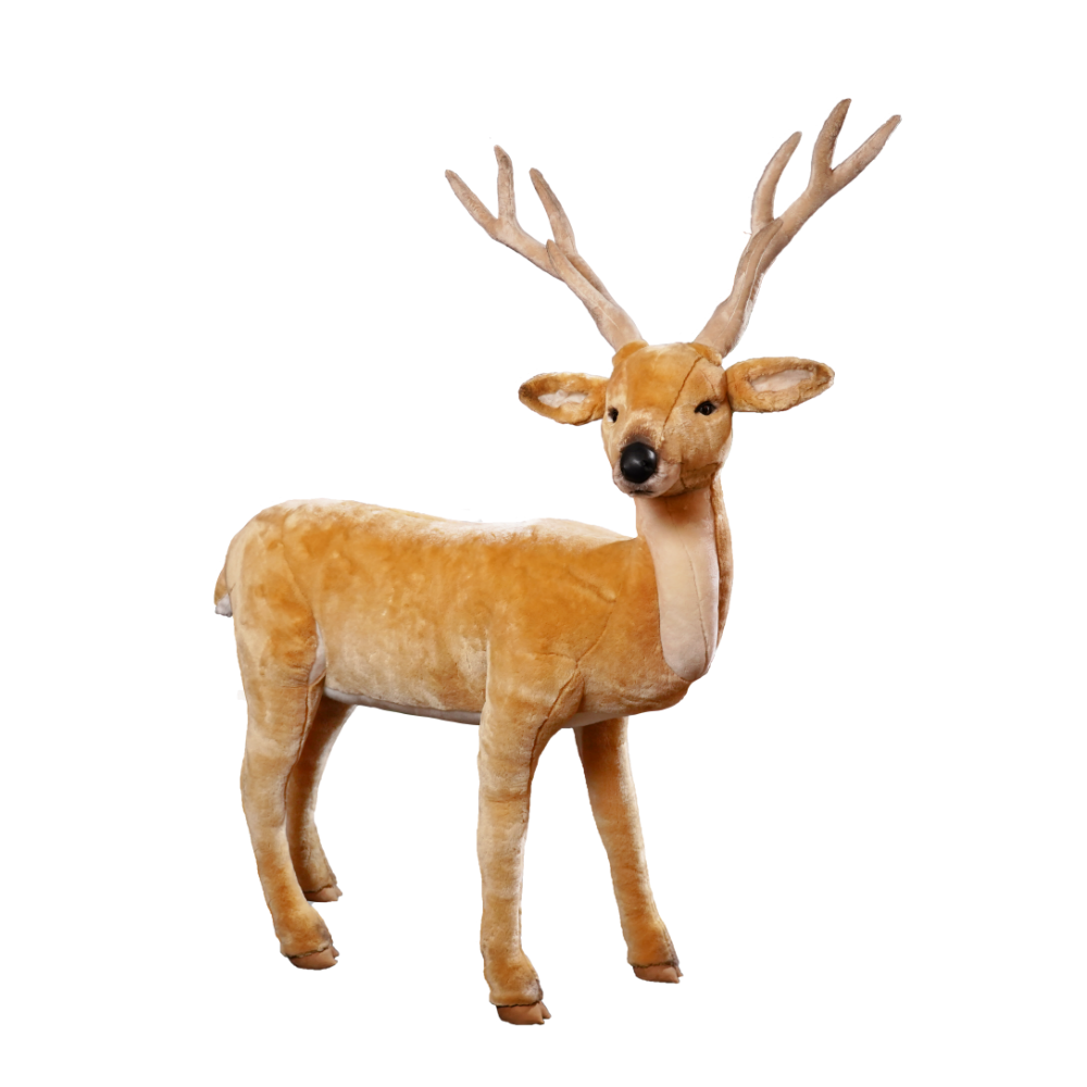Buck deer, standing.