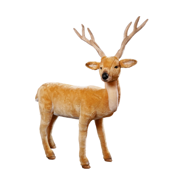 Buck deer, standing.