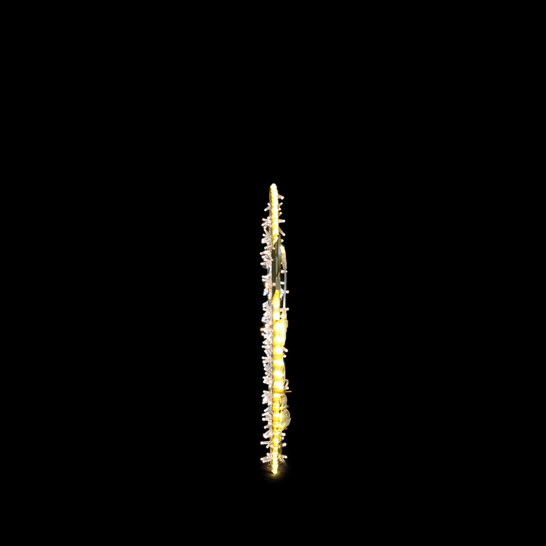 2D Ornament 1