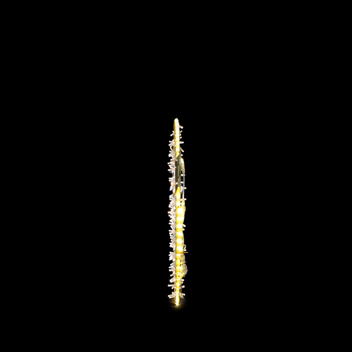 2D Ornament 1