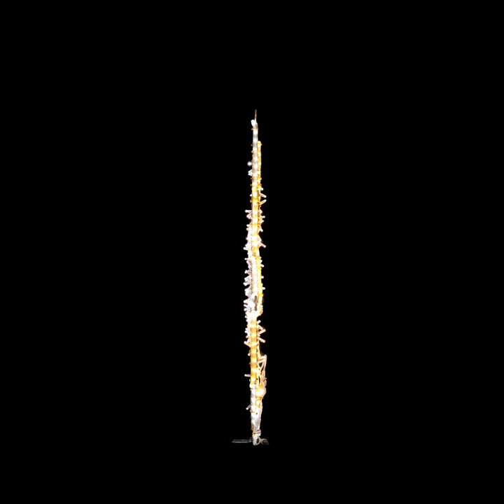 2D Star 1