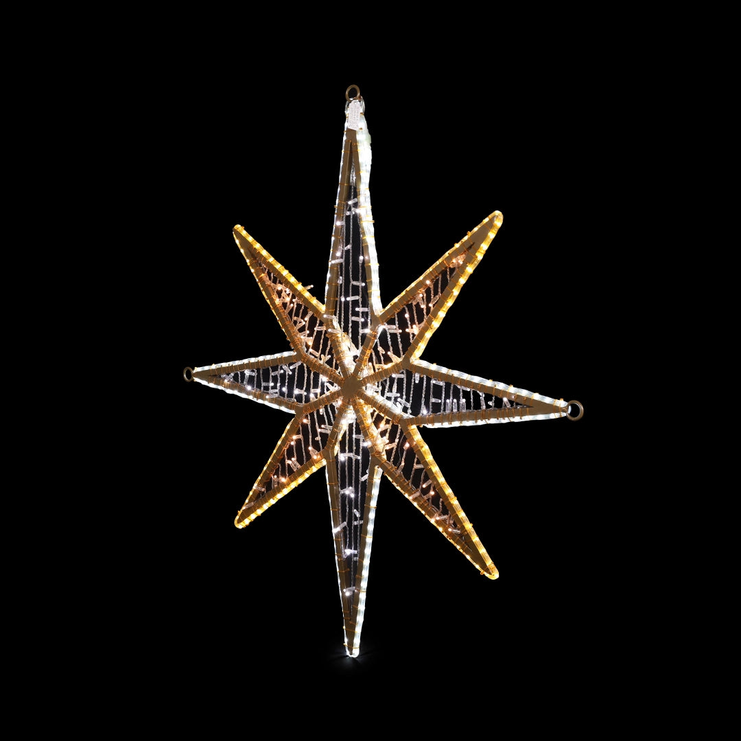 2D Star 2