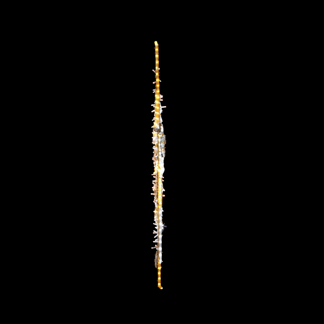 2D Star 3