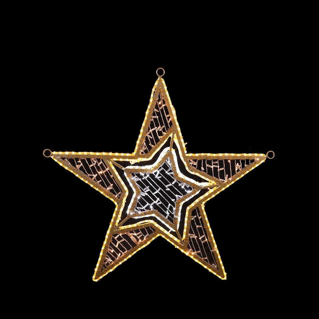 2D Star 4