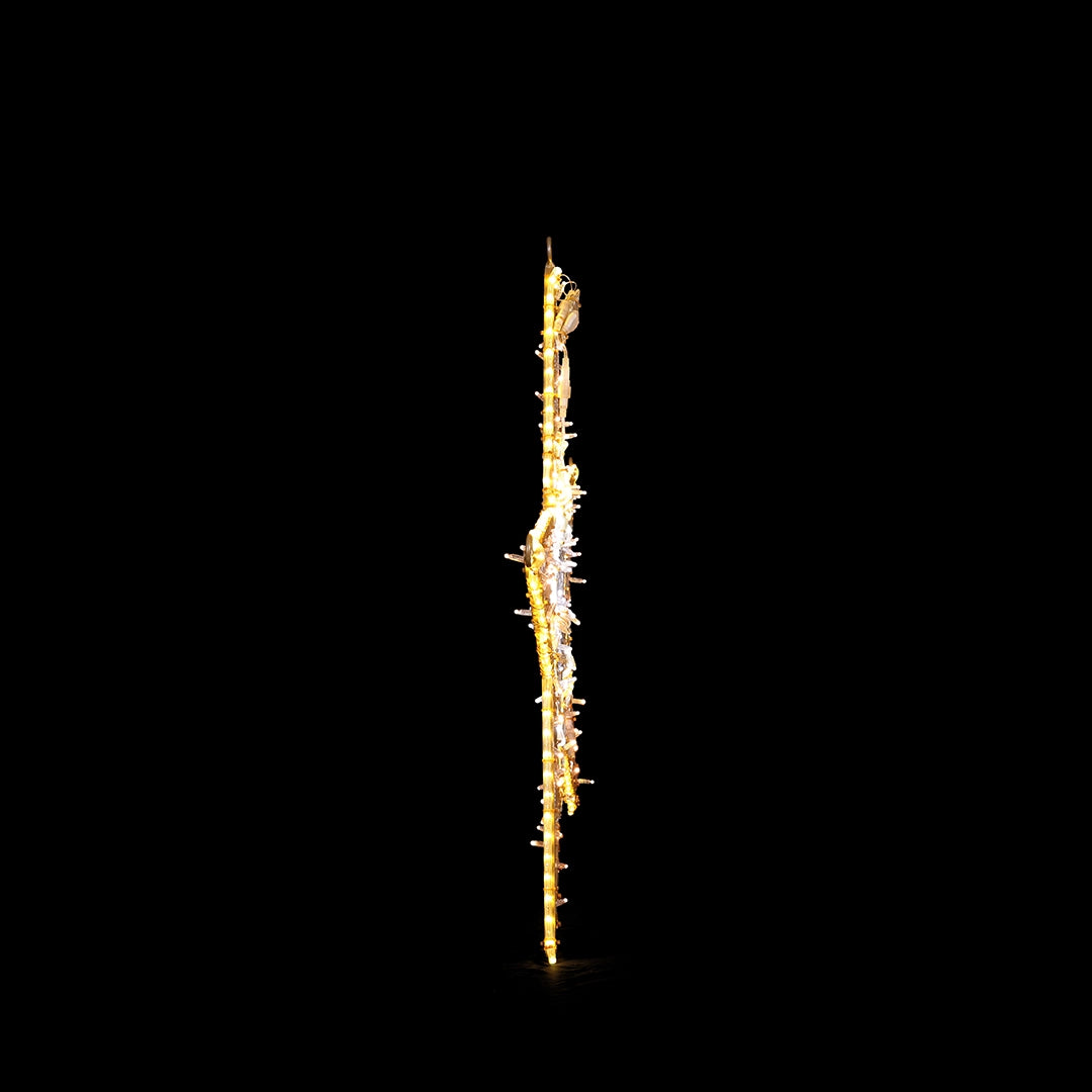 2D Star 4