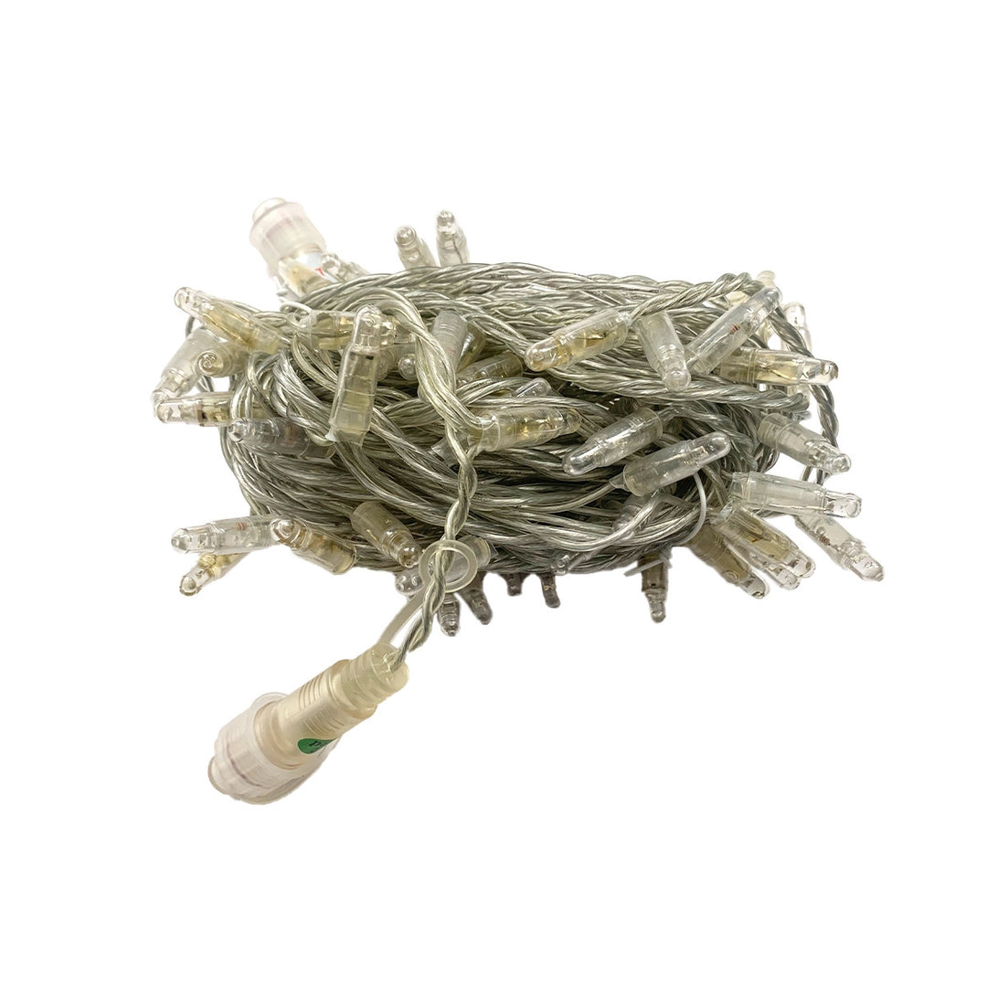 FDS 32' WW 80 light strand with 10% Flash, Clear, Extendable