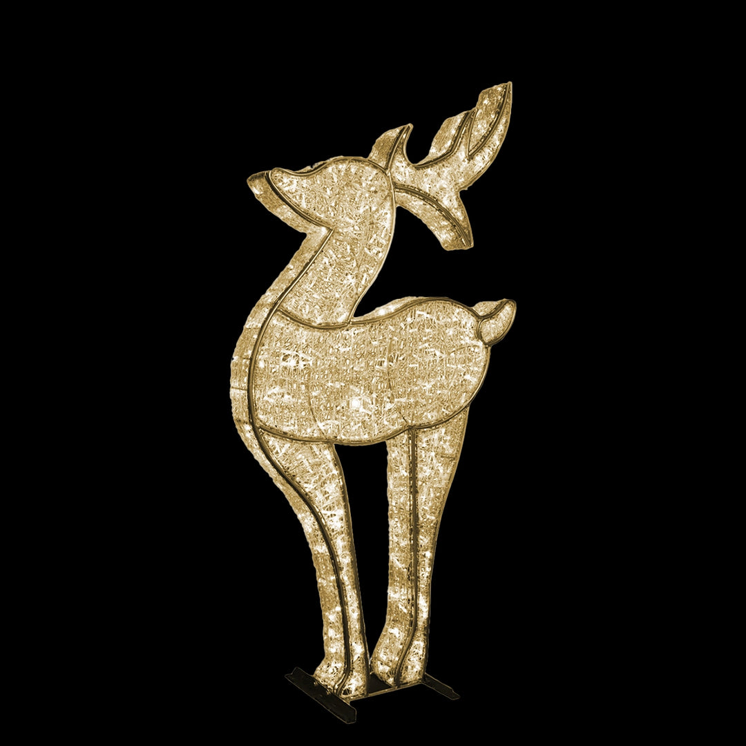 3D Deer Medium 7'