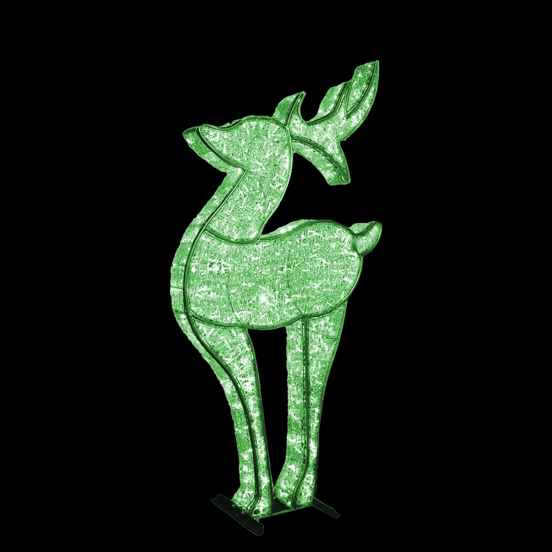 3D Deer Medium 7'