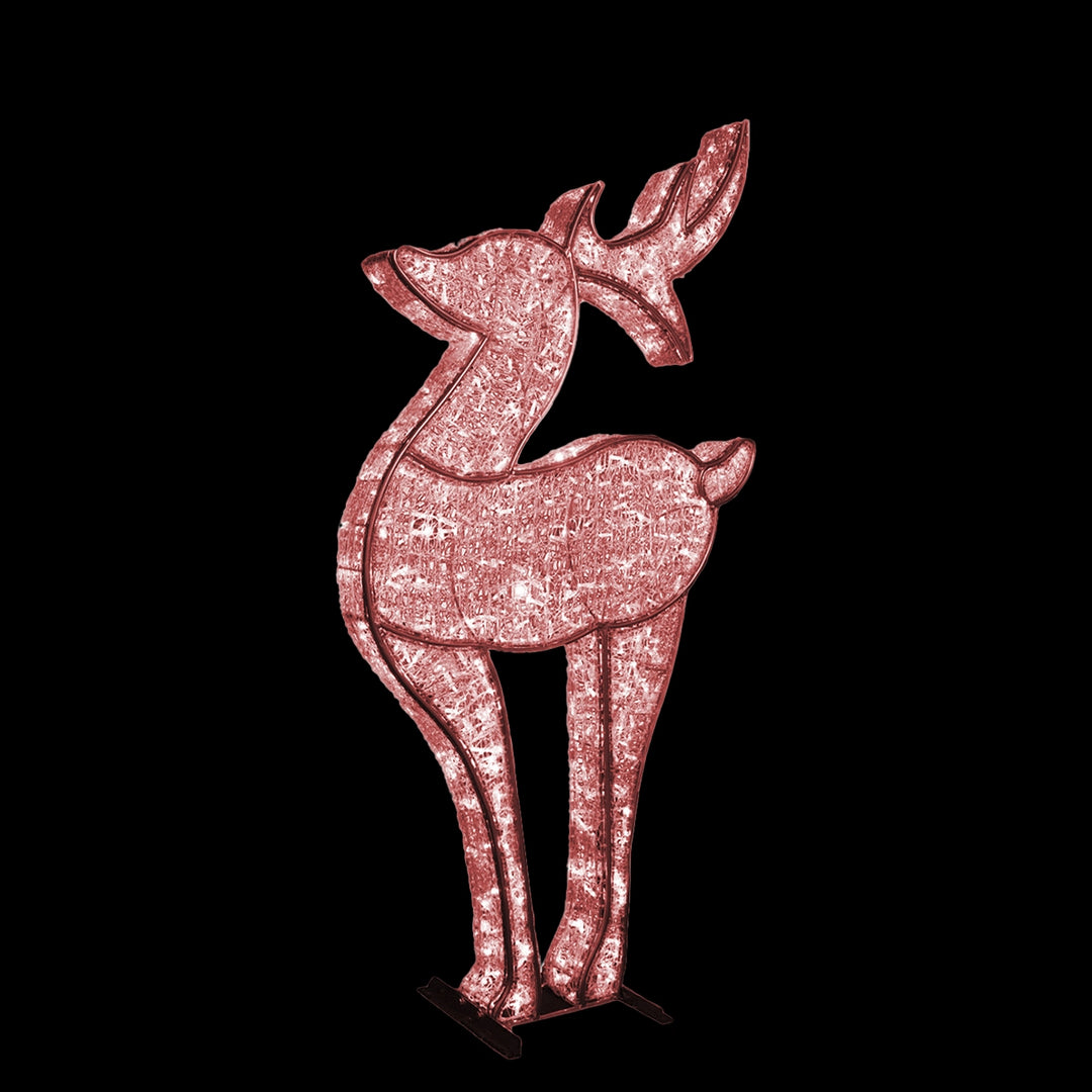 3D Deer Medium 7'