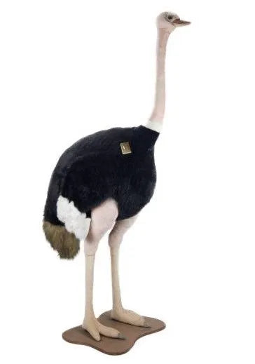 Ostrich Rooster 200cmH